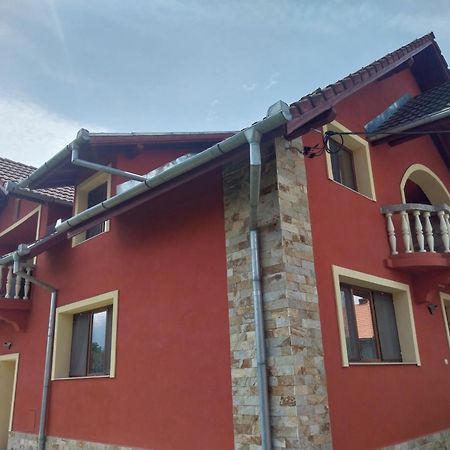 Serena House Cîrţişoara Exterior foto